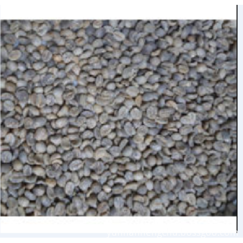 Professional manufacturers supply Arabica Green Coffee Beans